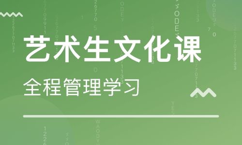 武漢藝術生文化課.jpg