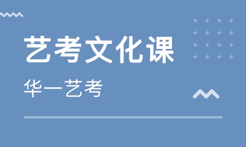 武漢藝術(shù)生文化課.jpg