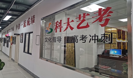 武漢升學率高的藝術生文化課考前沖刺