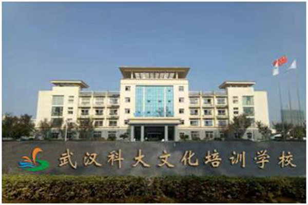 武昌藝術(shù)生文化課補(bǔ)習(xí)哪家好
